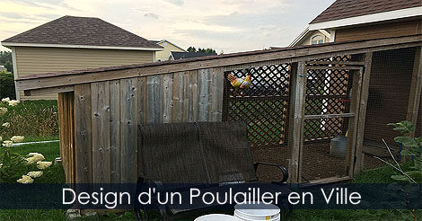 Comment construire un poulailler en ville - Poulailler Plan idée de construction - Design Poulailler