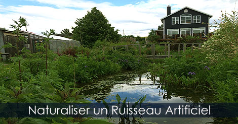 Construire Aménager Créer un Ruisseau au Jardin - Comment planter et naturaliser un ruisseau avec cascades au jardin - Plantes pour cascades de bassin