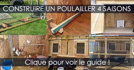 Construire un Poulailler