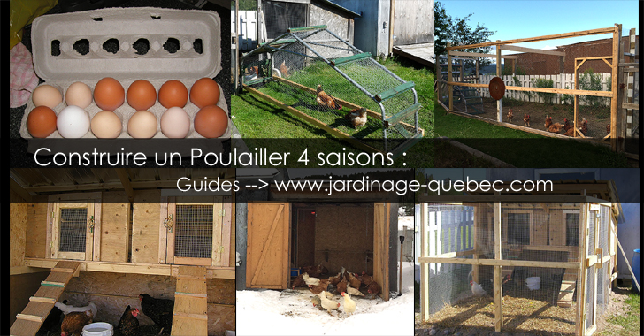 Construire un poulailler