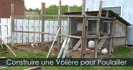 Construire une volière ou enclos autour d'un poulailler - Grillage à poule pour poulailler