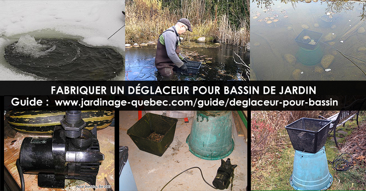 Bassin de Jardin