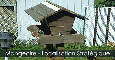 Mangeoire à oiseaux - Choisir l'endroit stratégique d'installation