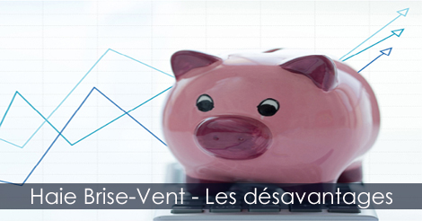 Haie Brise-Vent - Désavantages