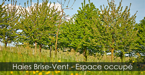 Haie Brise-Vent - Localisation