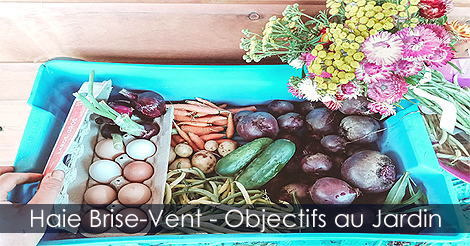 Haie Brise-Vent - Objectifs au jardin