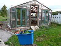 Entretien des géraniums - Avoir de beaux géraniums - Comment fertiliser les géraniums