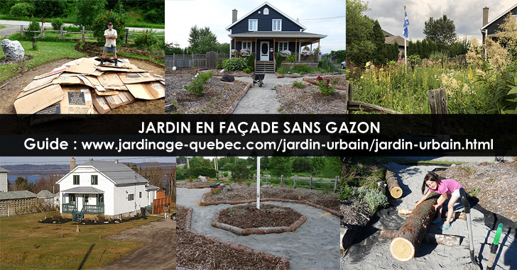 Jardin sans gazon