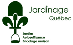 Changer une porte de remise - Changer une porte de cabanon - Changer une porte d'abri de jardin
