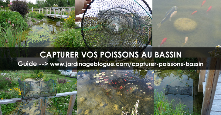 Nasse à poisson