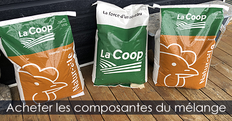 Comment nourrir les poules