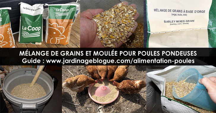 Sac de nourriture pour poules