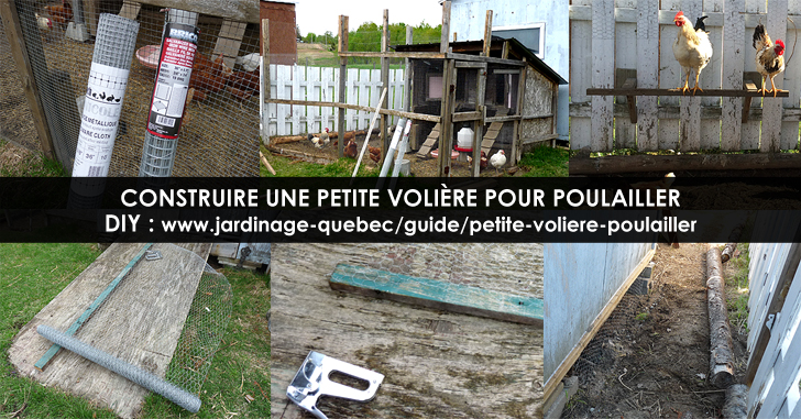 Volière pour poulailler