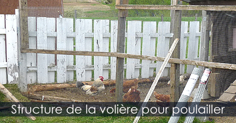 Structure d'un volière extérieure