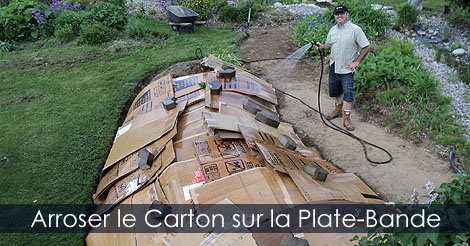 Arroser le carton de la plate-bande pour le maintenir au sol - Guide pour créer une plate-bande carton et brf