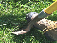 Créer une plate-bande - Créer un massif de fleurs - Conseils de jardinage