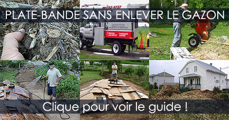 Aménager une Plate Bande sans Enlever le Gazon