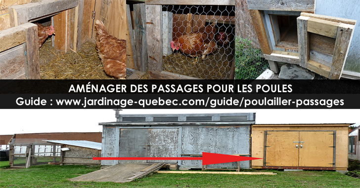 Grillage à volaille