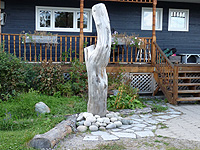 Électricité au jardin