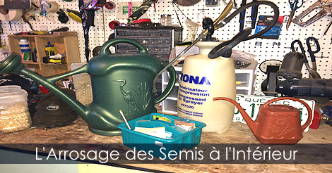 Arroser les semis - Méthode et équipement