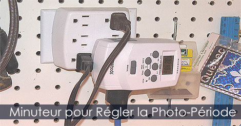 Minuteur pour lampes horticoles - Réglage de la photo-période