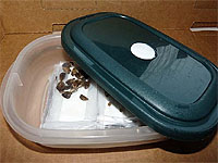 Germination des graines - Méthode de stratification simple des semences