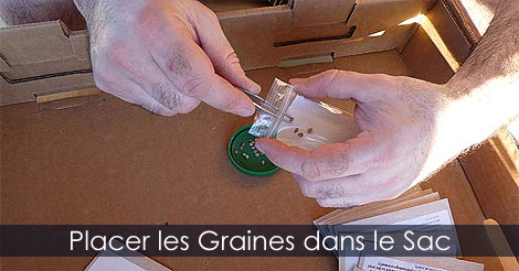 Petit sac en plastique et papier absorbant pour faire la stratificaton des graines