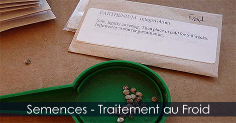 Traitement au froid des graines ou semences - Les graines ayant besoin d'un traitement au froid pour germer