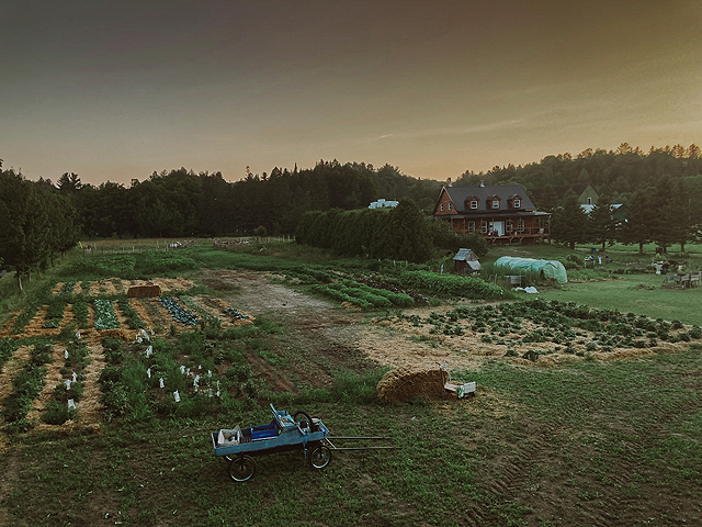 Potager