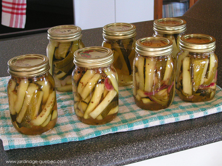 Marinades de courges - Photos Jardin Le Jardin des Patriotes - Pascal Tremblay La Baie Québec