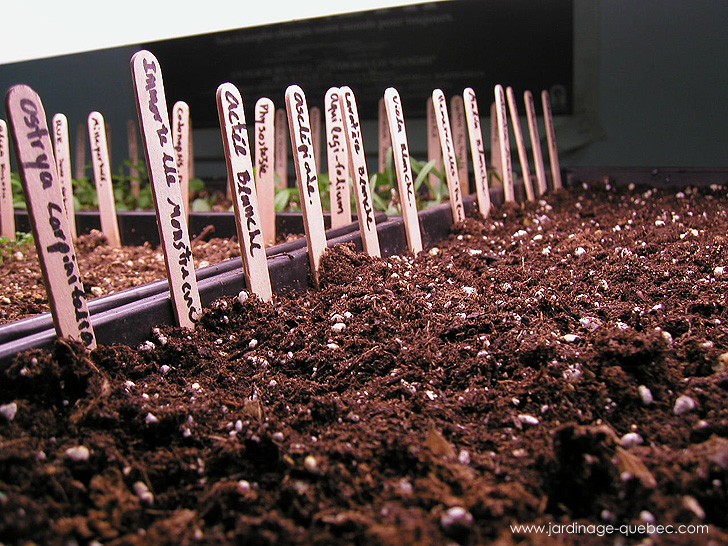 Semis intérieurs - Photos Jardin Le Jardin des Patriotes - Pascal Tremblay La Baie Québec