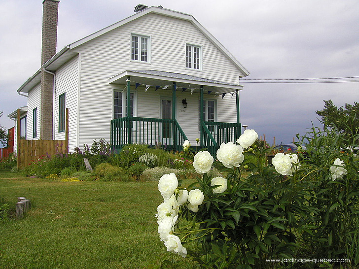 Pivoines au Jardin - Photos Jardin Le Jardin des Patriotes - Pascal Tremblay La Baie Québec