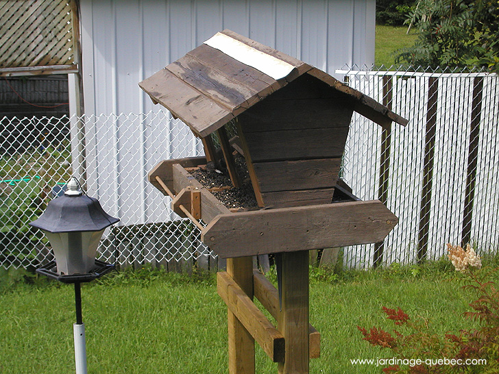 Mangeoire pour oiseaux - Photos Jardin Le Jardin des Patriotes - Pascal Tremblay La Baie Québec