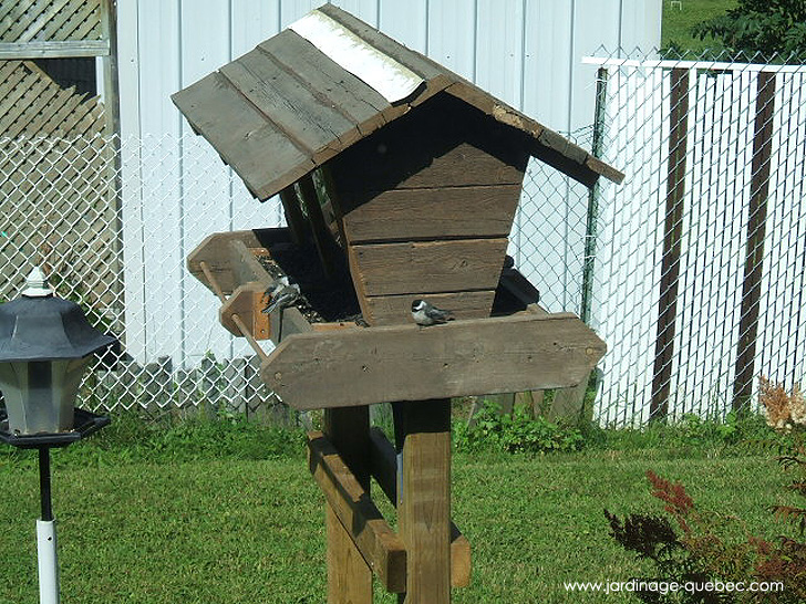Construire une Mangeoire - Photos Jardin Le Jardin des Patriotes - Pascal Tremblay La Baie Québec