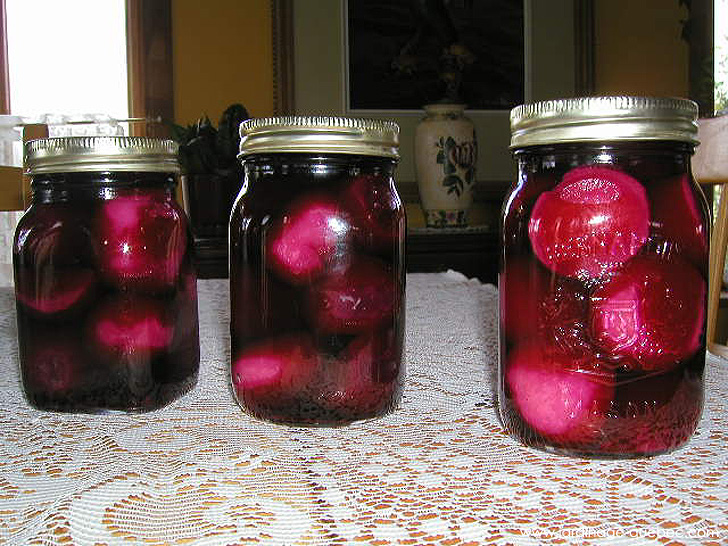 Conserves de betteraves rouges - Photos Jardin Le Jardin des Patriotes - Pascal Tremblay La Baie Québec