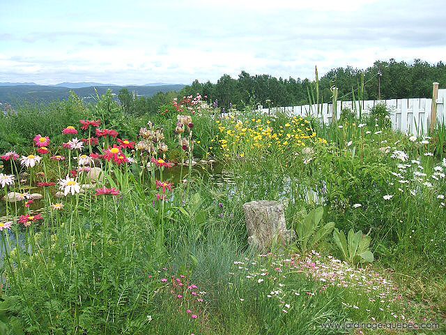 Jardin en fleurs - Photos Jardin Le Jardin des Patriotes - Pascal Tremblay La Baie Québec