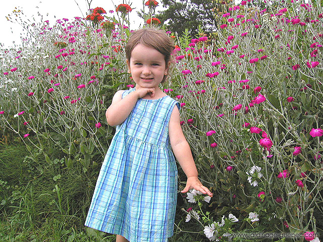 Amélya devant une plate-bande de Lychnis