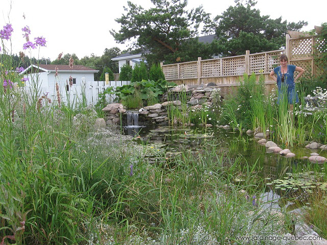 Étang de Jardin avec cascade en pierre et clôture de jardin en bois