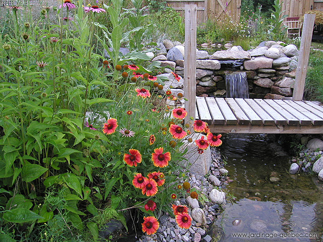 Ruisseau de jardin - Décharge du bassin et Gaillardes vivaces