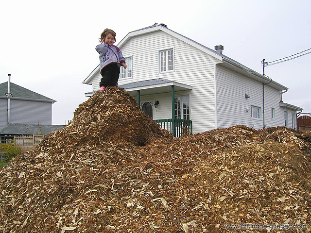 BRF - Le bois raméal fragmenté l'or des jardiniers