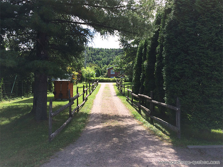 Photos Jardin L'Autre Monde - Serge Tremblay La Baie Québec -  Entrée de cour menant à la propriété - Haie de cèdres et clôture en perches de cèdre ancestrale