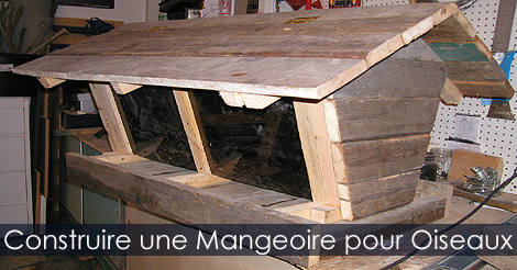 Mangeoire Oiseaux - Construire une mangeoire pour oiseaux