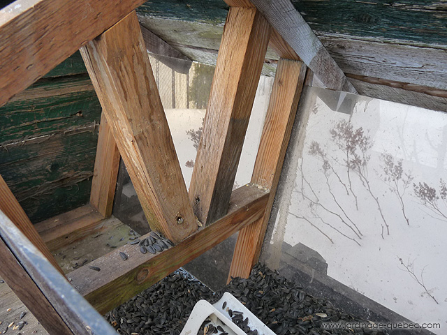 Nichoir oiseau et Mangeoire oiseaux