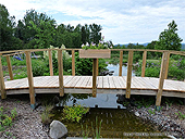 Pont Japonais en bois Arqué