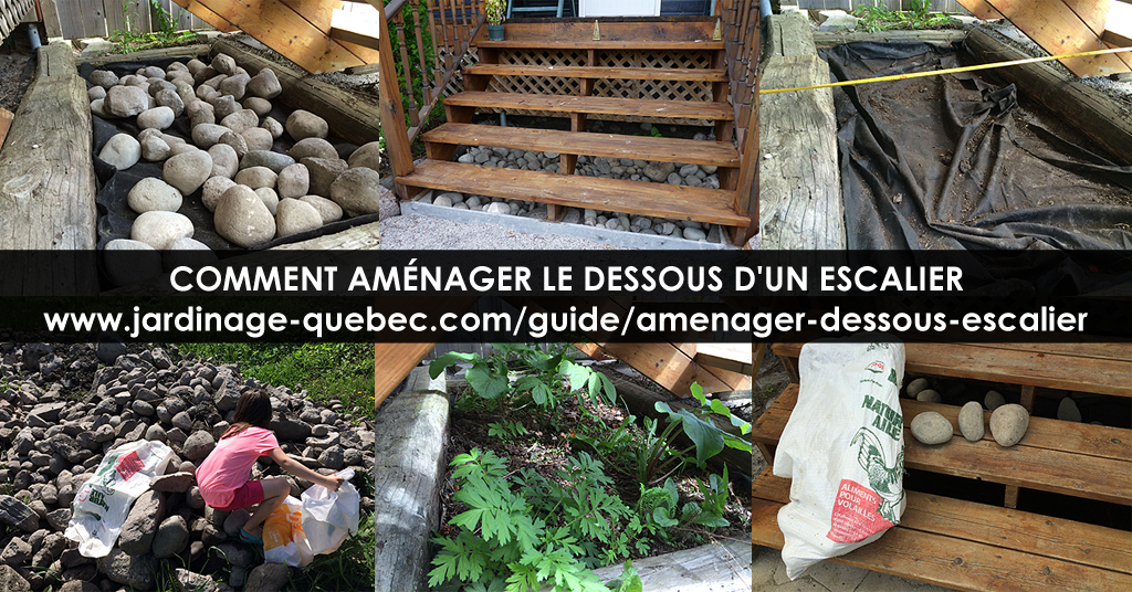 Escaliers de terrasse