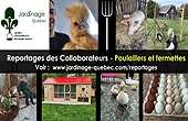 Articles sur la basse-cour, les mini-fermes ou fermettes