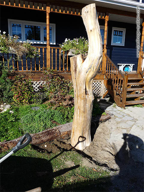 Prise électrique décorative pour chauffe-moteur - Idées au jardin