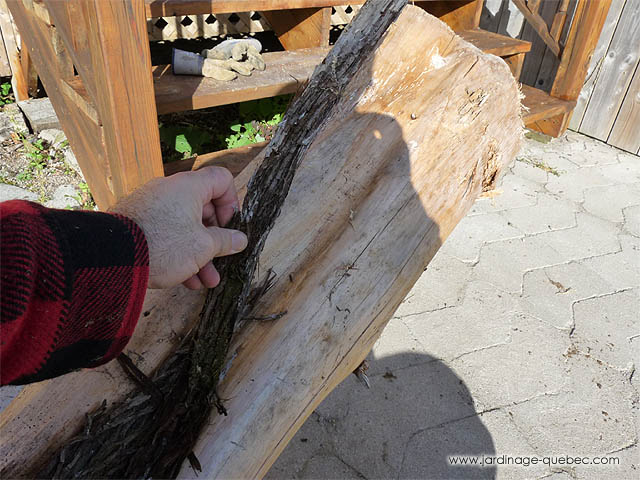 Retirer l'écorce du rondin - Fabriquer un support décoratif pour prise extérieure