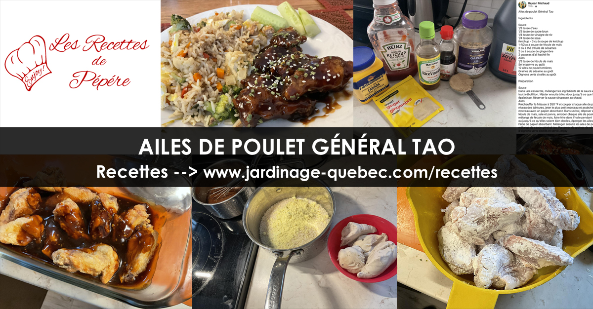 Ailes de poulet Général Tao