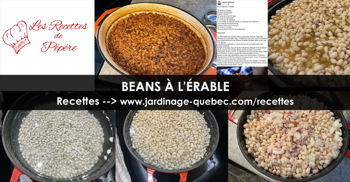 Beans ou Fèves à l'Érable